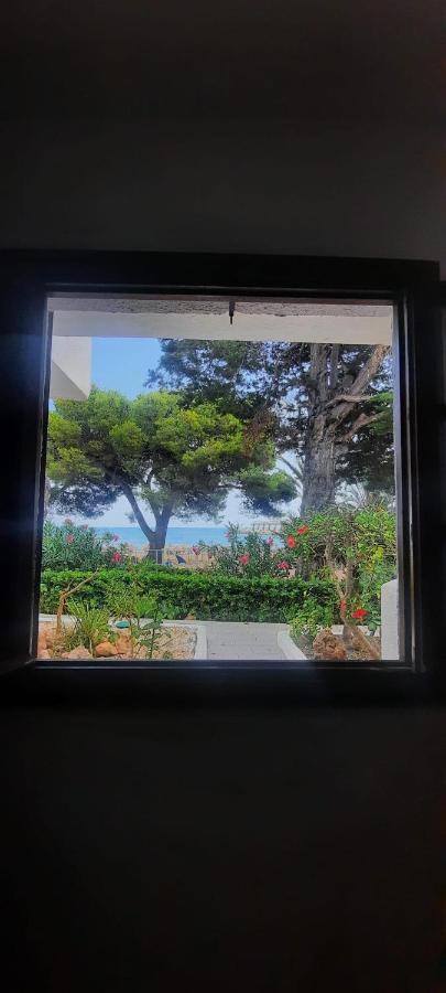 Apartamento Frente Al Mar Alcossebre Zewnętrze zdjęcie